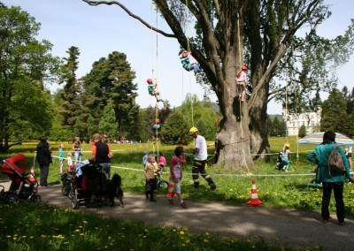 Lezení po stromech pro děti i pro dospělé