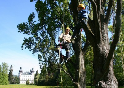 Lezení v korunách stromů Datel arboristika Krkonoše (2)