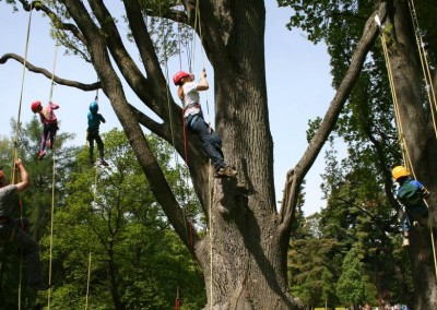Lezení v korunách stromů Datel arboristika Krkonoše (4)