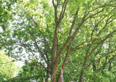 Lezení v korunách stromů Datel arboristika Krkonoše (5)