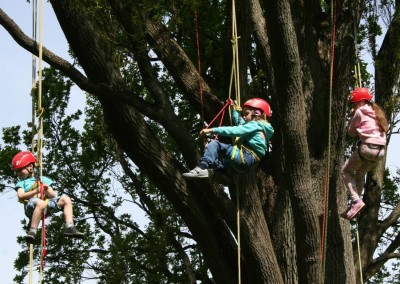 Lezení v korunách stromů Datel arboristika Krkonoše (7)