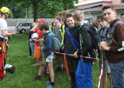 Ošetření stromu zdarma