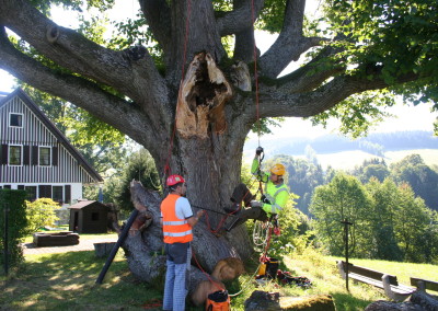 Ošetření památné lípy Rokytnice nad Jizerou