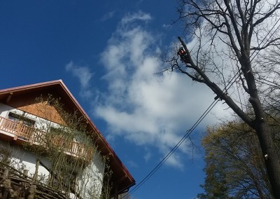 20170424_104722