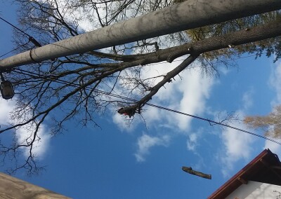 20170424_104736