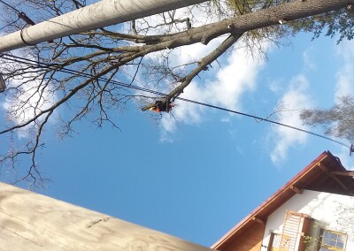 20170424_104813