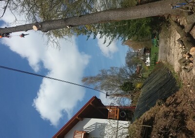 20170424_132630