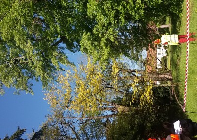 Certifikace European Tree Worker CZ 2017