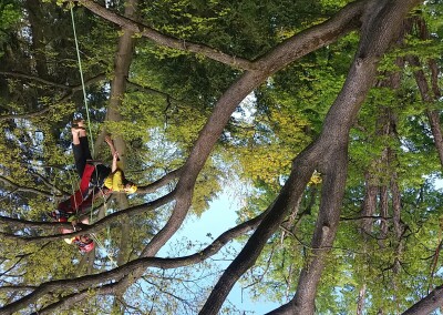 Certifikace European Tree Worker CZ 2017