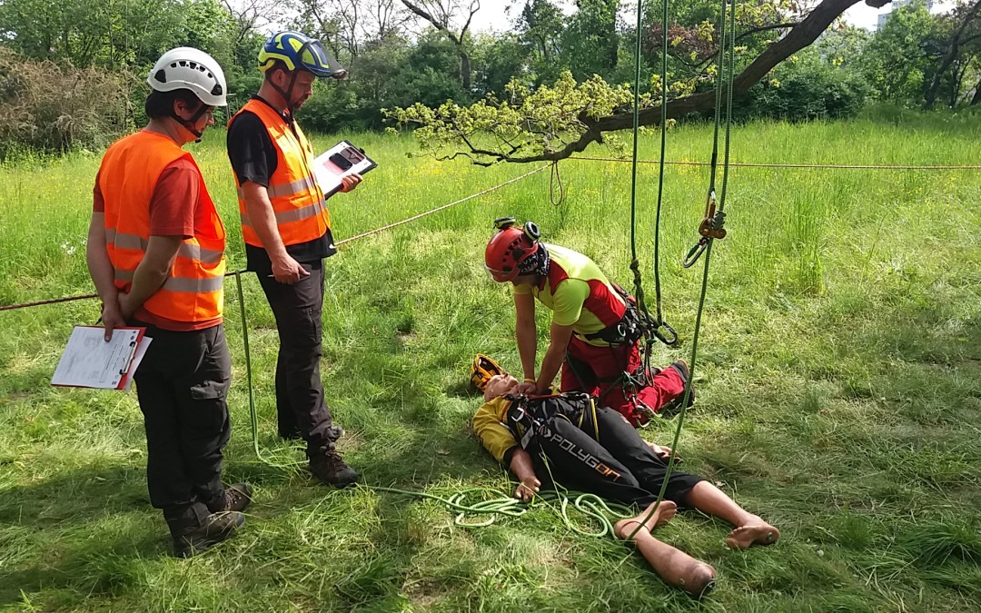 Certifikace European Tree Worker Czech Republic