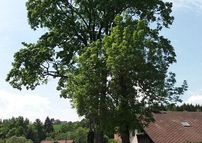20170523_122012