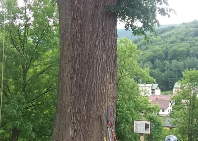 20170626_091838