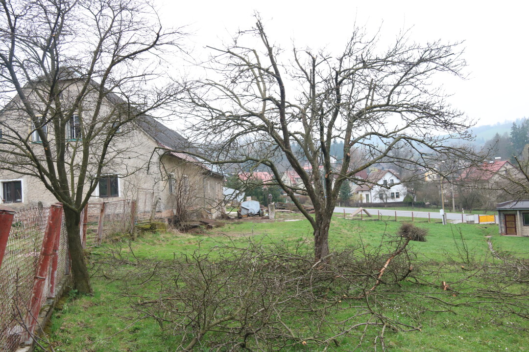 Řez ovocných stromů Valteřice