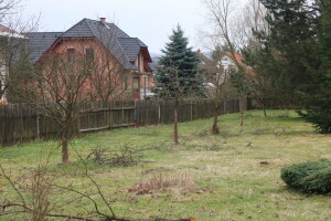 Řez ovocných stromů