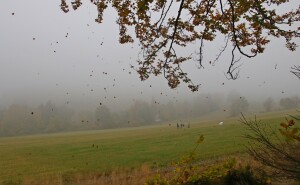 IMG_8275