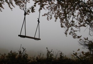 IMG_8285